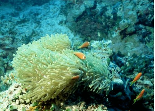 觀方好物 華山醫院研制的身體乳，何以成為值得“囤一輩子”的護膚好物？