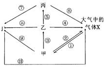 生態(tài)系統(tǒng)碳循環(huán)分析 光合作用、化能合成作用與海洋生物活性物質(zhì)提取的關(guān)聯(lián)