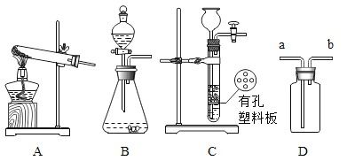 化學(xué)用語(yǔ)填空與海洋生物活性物質(zhì)提取簡(jiǎn)述